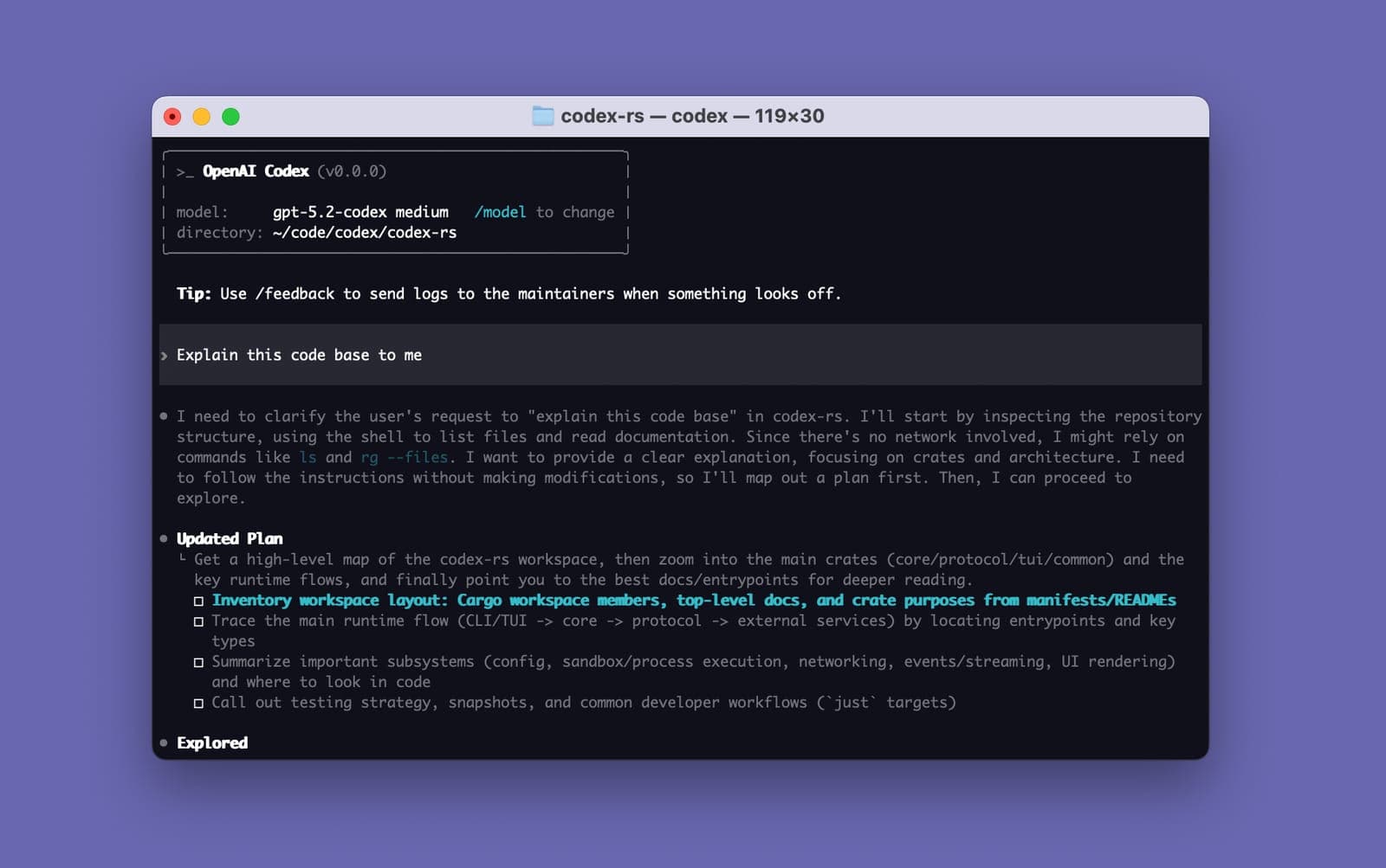 codex screenshot