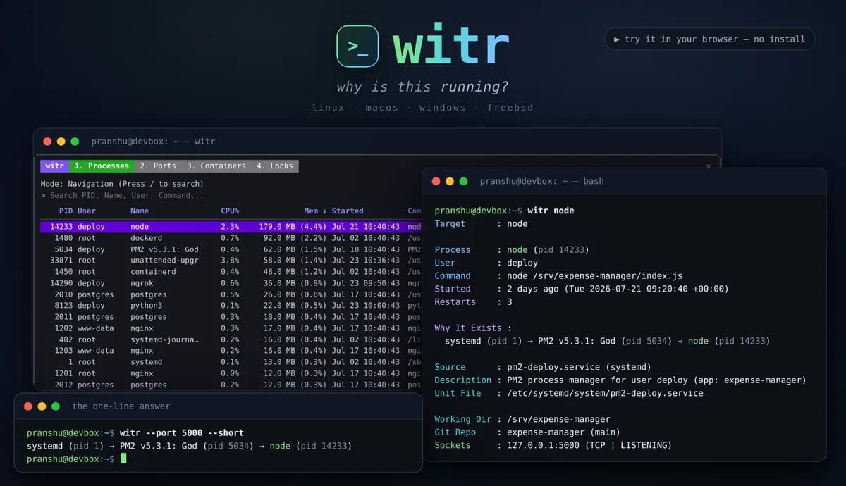 witr 截图